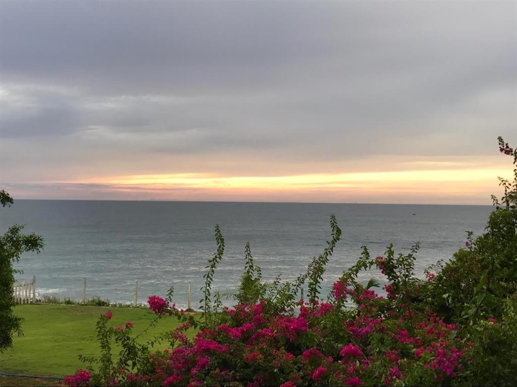 Peacock Beach Hotel Hambantota Zewnętrze zdjęcie